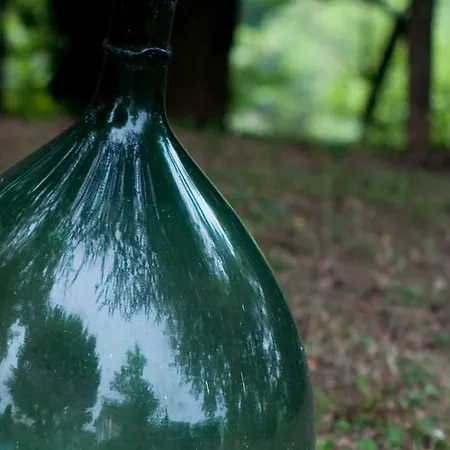 Cascina Santa Bed & Breakfast Gavi