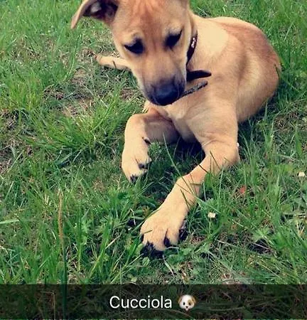 Bed & Breakfast Cascina Santa 3*