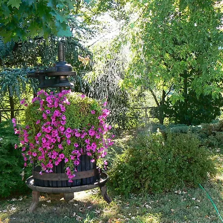 Cascina Santa 3* غافي