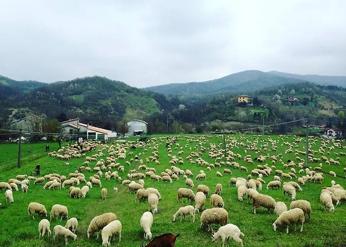 Bed & Breakfast Cascina Santa 3*